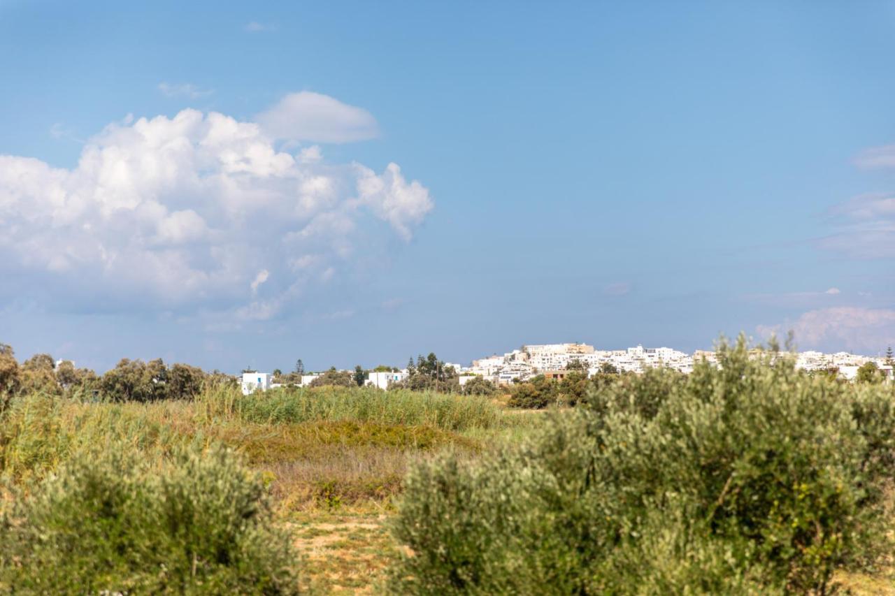 Surfer Paradise Naxos City Eksteriør billede